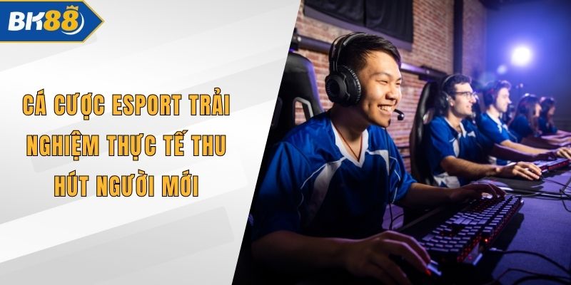 Cá Cược Esport Trải Nghiệm Thực Tế Thu Hút Người Mới