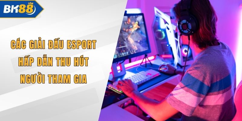 Các Giải Đấu Esport Hấp Dẫn Thu Hút Người Tham Gia