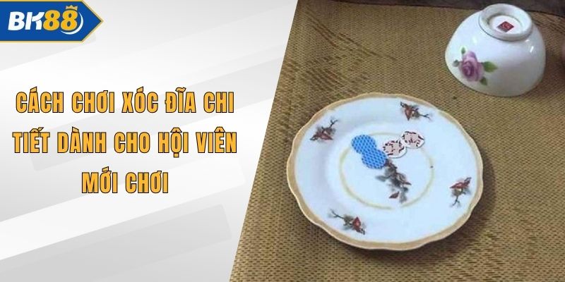 Cách Chơi Xóc Đĩa Chi Tiết Dành Cho Hội Viên Mới Chơi