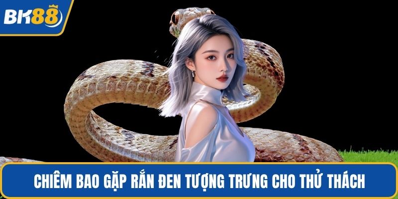 Chiêm bao gặp rắn đen tượng trưng cho thử thách