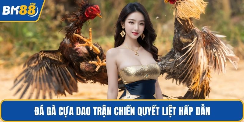 Đá gà cựa dao trận chiến quyết liệt hấp dẫn