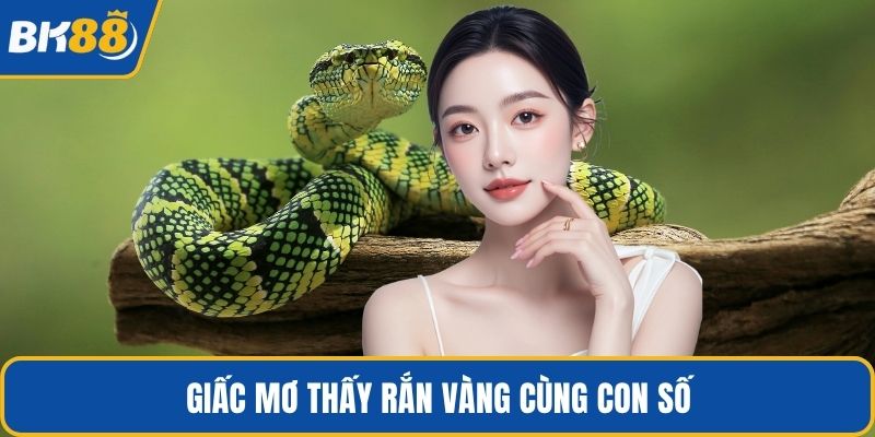 Giấc mơ thấy rắn vàng cùng con số