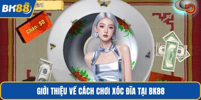 Giới thiệu về cách chơi xóc đĩa tại BK88