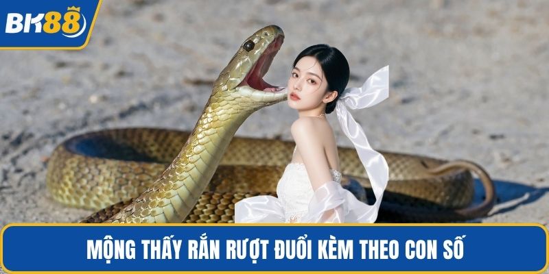Mộng thấy rắn rượt đuổi kèm theo con số