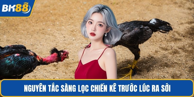 Nguyên tắc sàng lọc chiến kê trước lúc ra sới