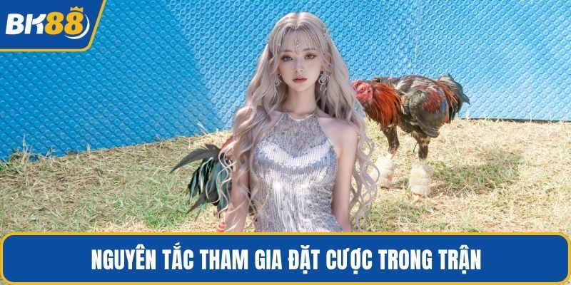 Nguyên tắc tham gia đặt cược trong trận