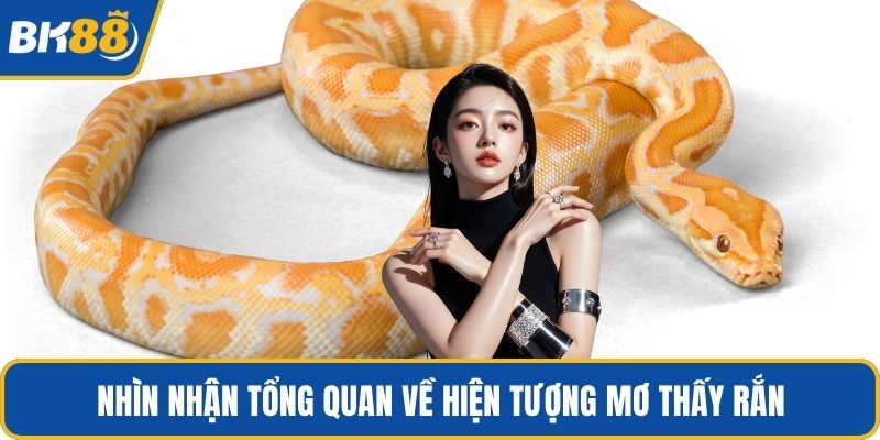 Nhìn nhận tổng quan về hiện tượng mơ thấy rắn