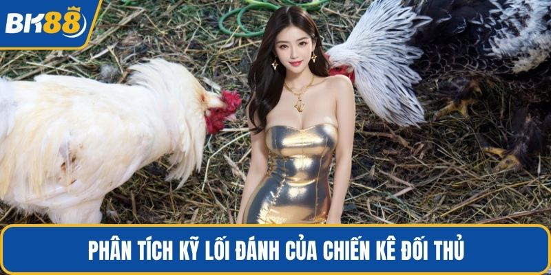 Phân tích kỹ lối đánh của chiến kê đối thủ