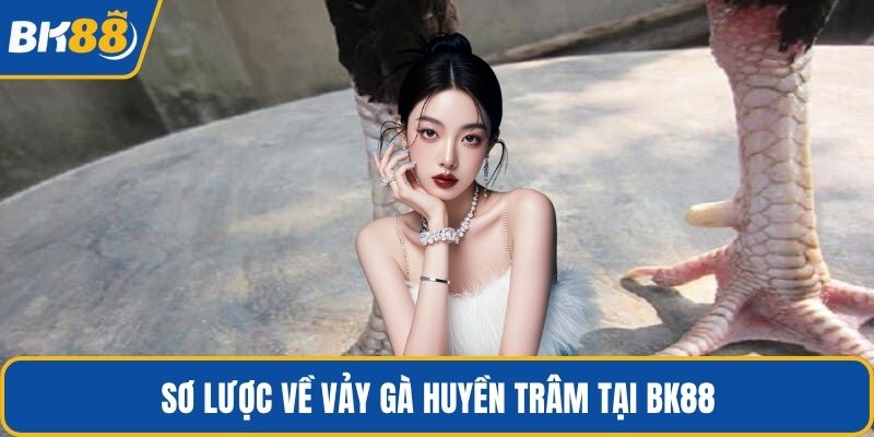 Sơ lược về vảy gà huyền trâm tại BK88