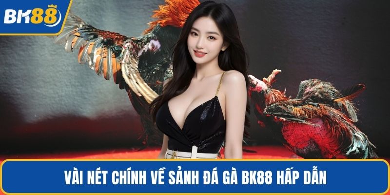 Vài nét chính về sảnh đá gà BK88 hấp dẫn