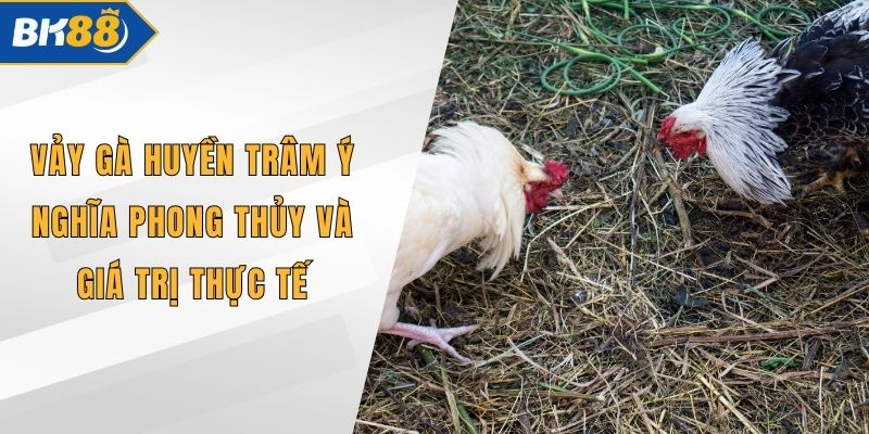 Vảy Gà Huyền Trâm Ý Nghĩa Phong Thủy Và Giá Trị Thực tế
